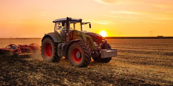 قیمت گاو آهن برگردان قدیمی در بازار تهران